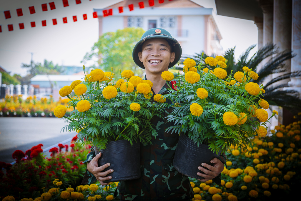 Bộ đội T&acirc;y Ninh trồng hoa đ&oacute;n Tết 
