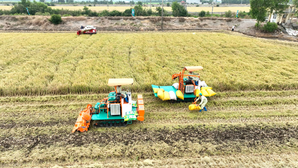 Tr&igrave;nh diễn ứng dụng cơ giới h&oacute;a c&aacute;c kh&acirc;u thu hoạch, l&agrave;m đất v&agrave; xử l&yacute; rơm rạ