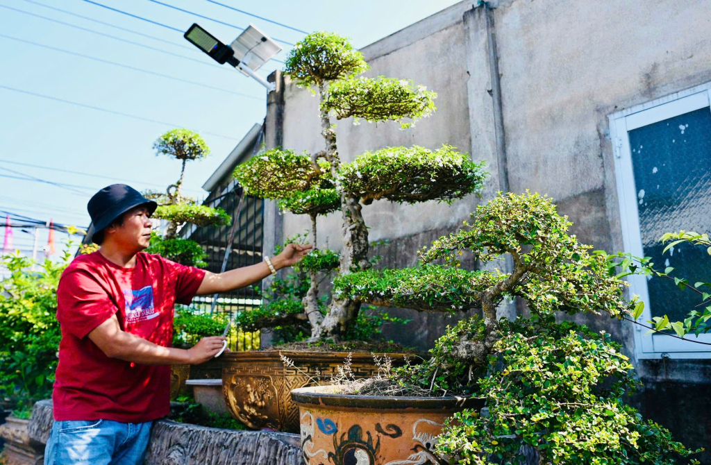 Từ cậu b&eacute; đ&aacute;nh gi&agrave;y&nbsp;đến &ldquo;đ&ocirc;i tay v&agrave;ng&rdquo; của l&agrave;ng bonsai