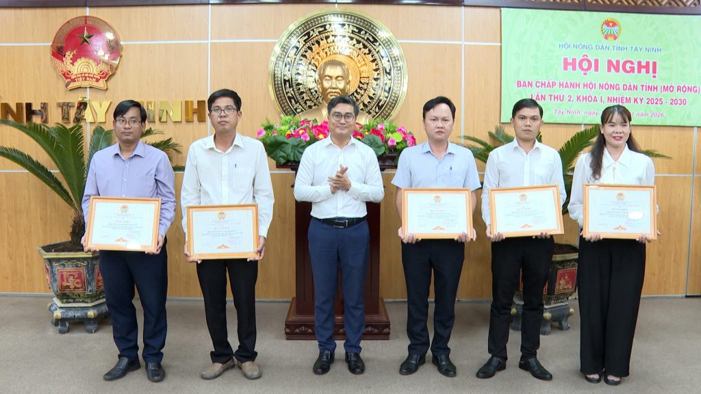 Hội N&ocirc;ng d&acirc;n tỉnh T&acirc;y Ninh b&agrave;n giải ph&aacute;p n&acirc;ng cao hiệu quả phong tr&agrave;o n&ocirc;ng d&acirc;n