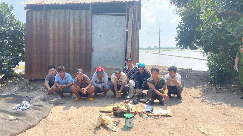 X&atilde; T&acirc;n Thạnh: Triệt ph&aacute; tụ điểm đ&aacute; g&agrave; ăn tiền, tạm giữ 10 đối tượng