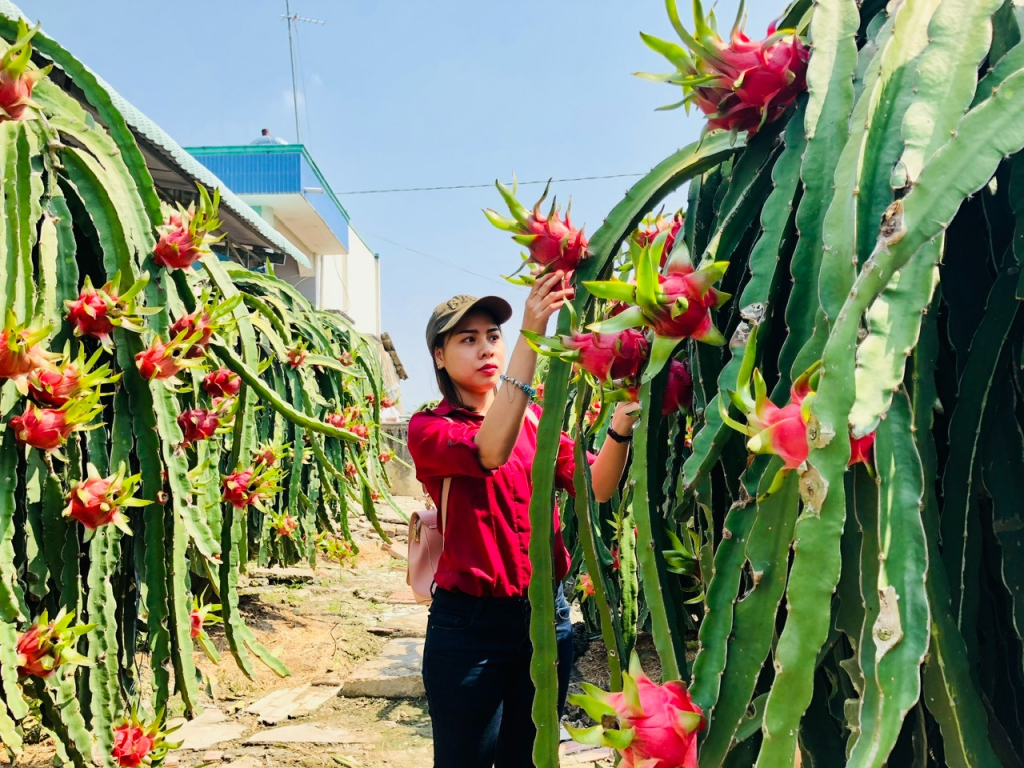 Tăng trưởng 8,5 lần, thương mại rau quả Việt - Mỹ lần đầu vượt 1 tỉ USD