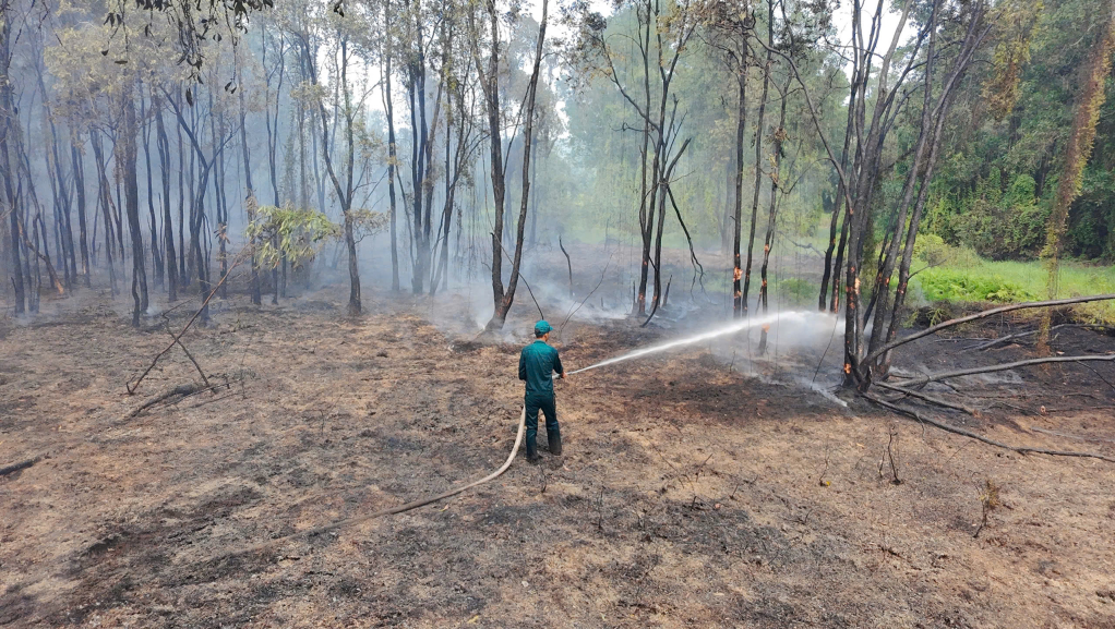 Lực lượng chức năng khẩn trương tiếp cận, dập lửa