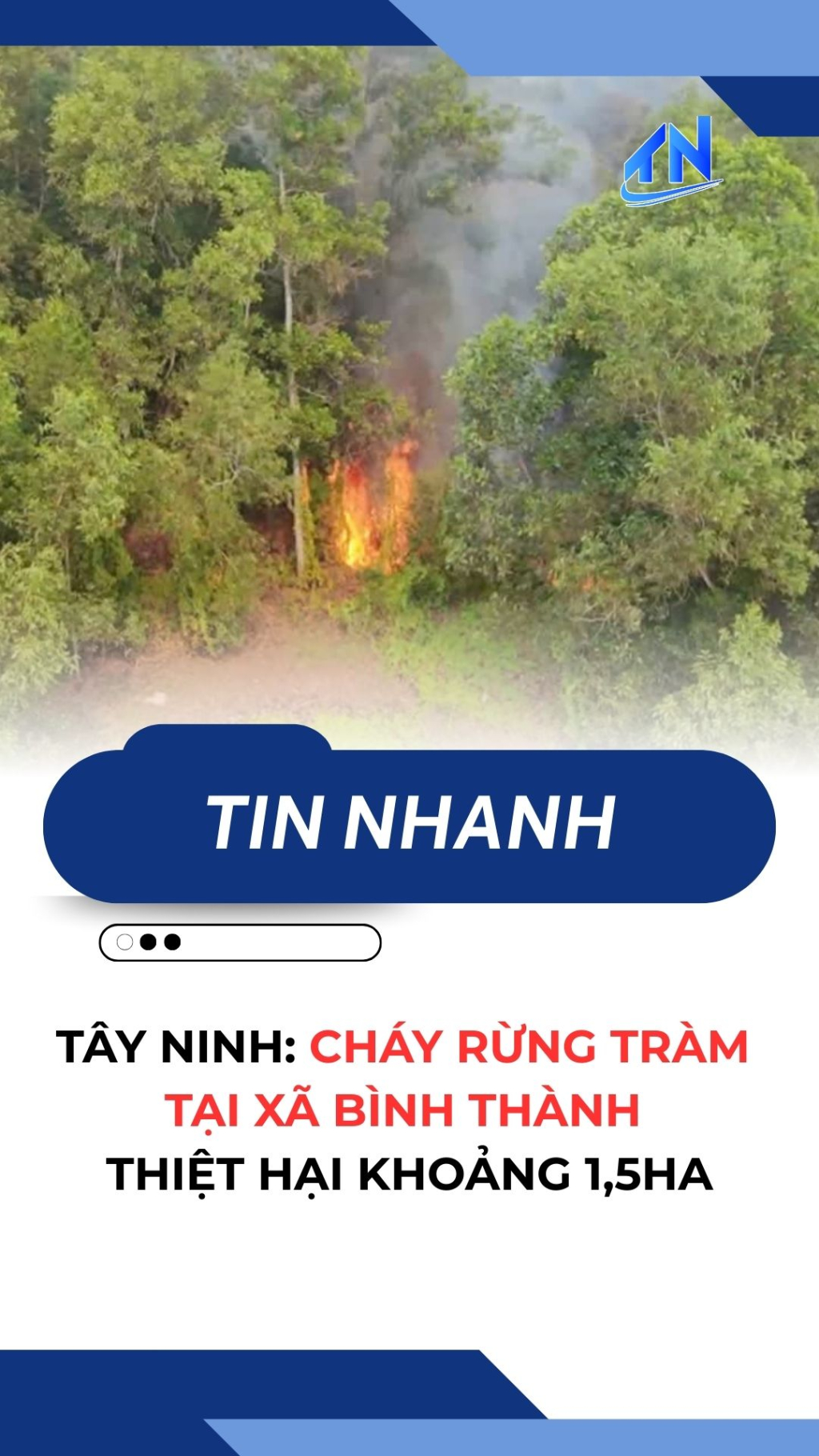 T&acirc;y Ninh: Ch&aacute;y rừng tr&agrave;m tại x&atilde; B&igrave;nh Th&agrave;nh, thiệt hại khoảng 1,5ha