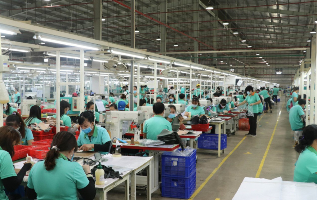 T&acirc;y Ninh: N&acirc;ng cao hiệu quả quản l&yacute; lao động, việc l&agrave;m, bảo đảm an sinh x&atilde; hội