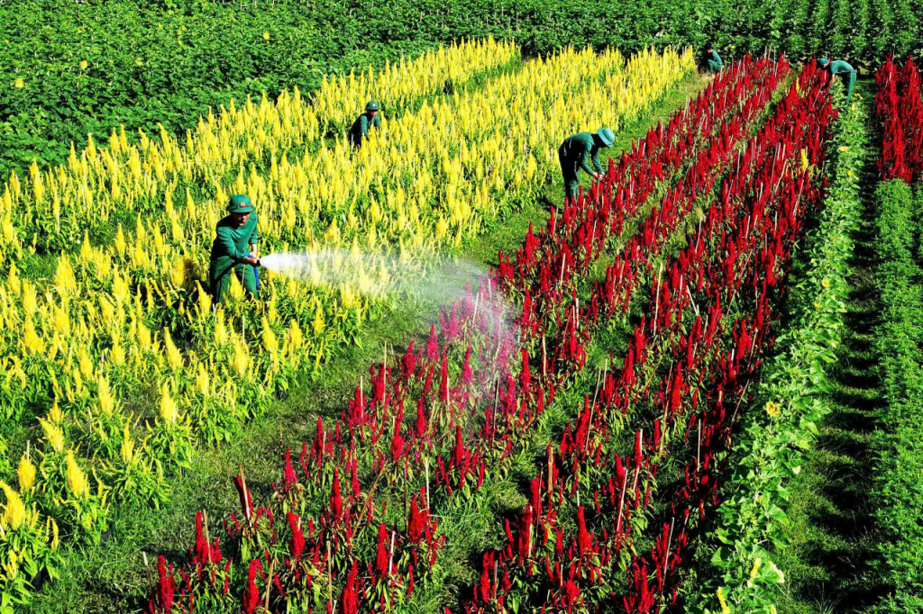 Trung đo&agrave;n 4: Sẵn s&agrave;ng bước v&agrave;o m&ugrave;a huấn luyện mới