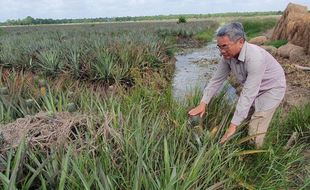 X&atilde; Phước Chỉ: Đổi mới tư duy l&agrave;m n&ocirc;ng nghiệp v&ugrave;ng bi&ecirc;n giới