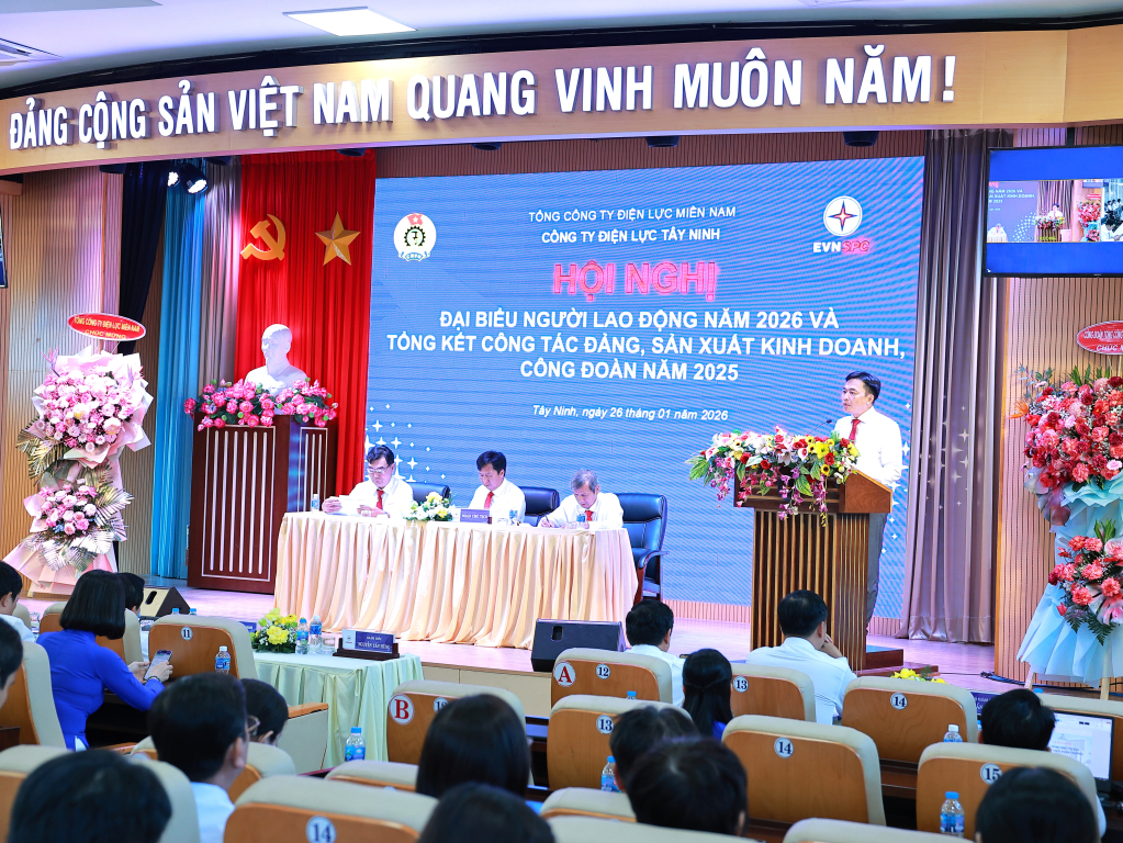 Phó Tổng giám đốc EVNSPC Đào Hòa Bình phát biểu chỉ đạo hội nghị