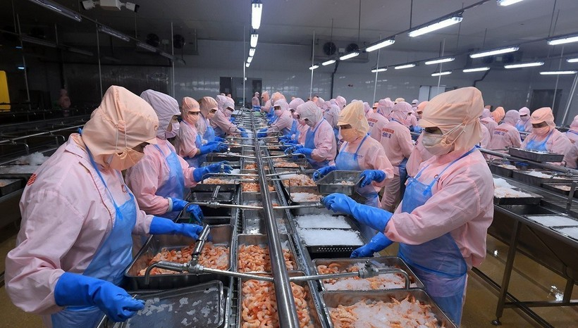 Lực đẩy mới cho ph&aacute;t triển kinh tế tư nh&acirc;n Đồng bằng s&ocirc;ng Cửu Long