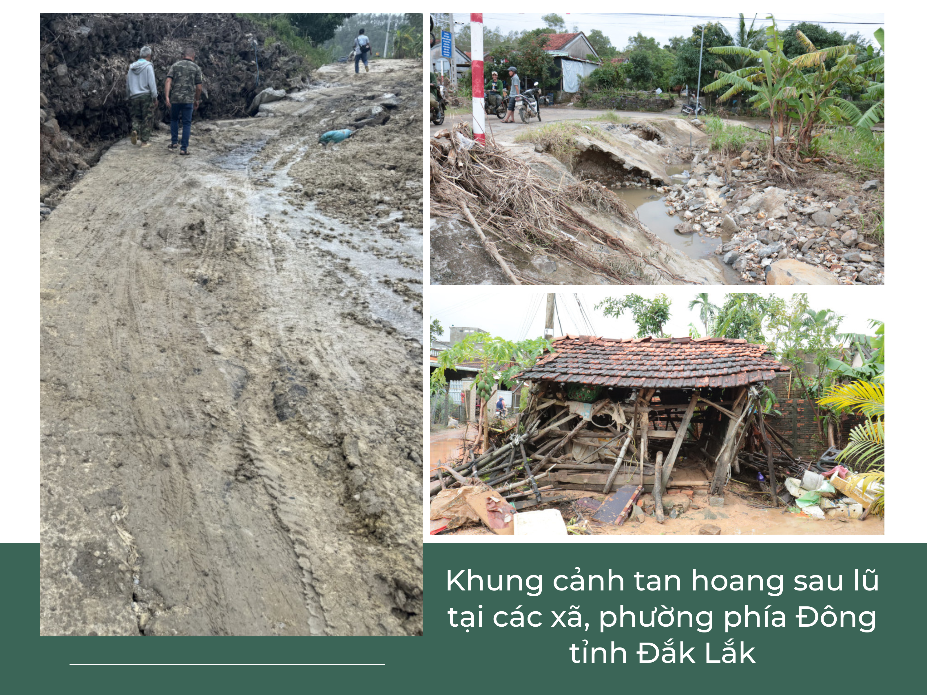 Ảnh với chú thích