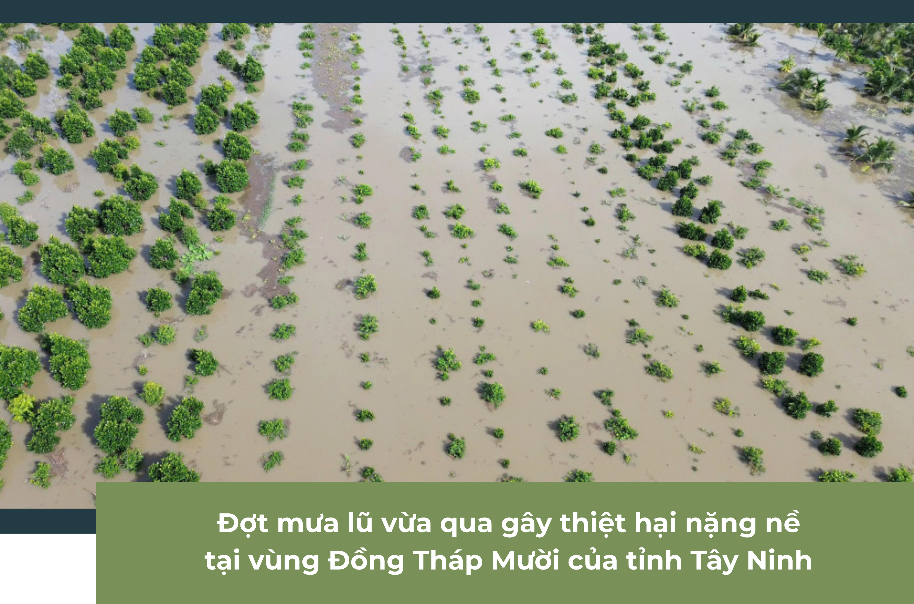 Ảnh tràn viền