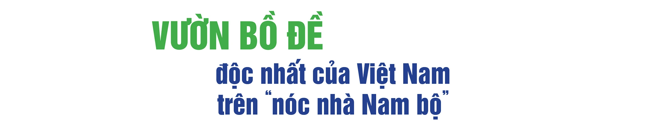 Ảnh tràn viền