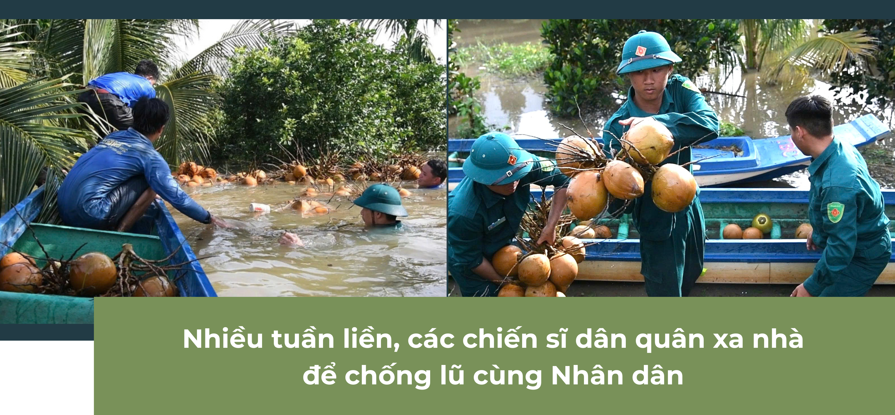 Ảnh tràn viền