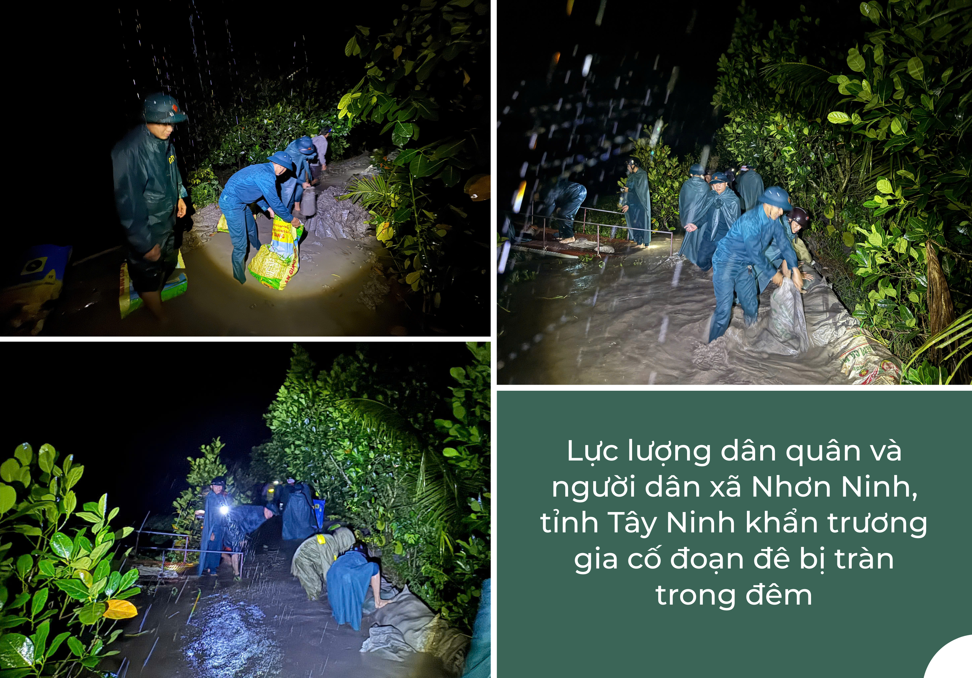 Ảnh với chú thích