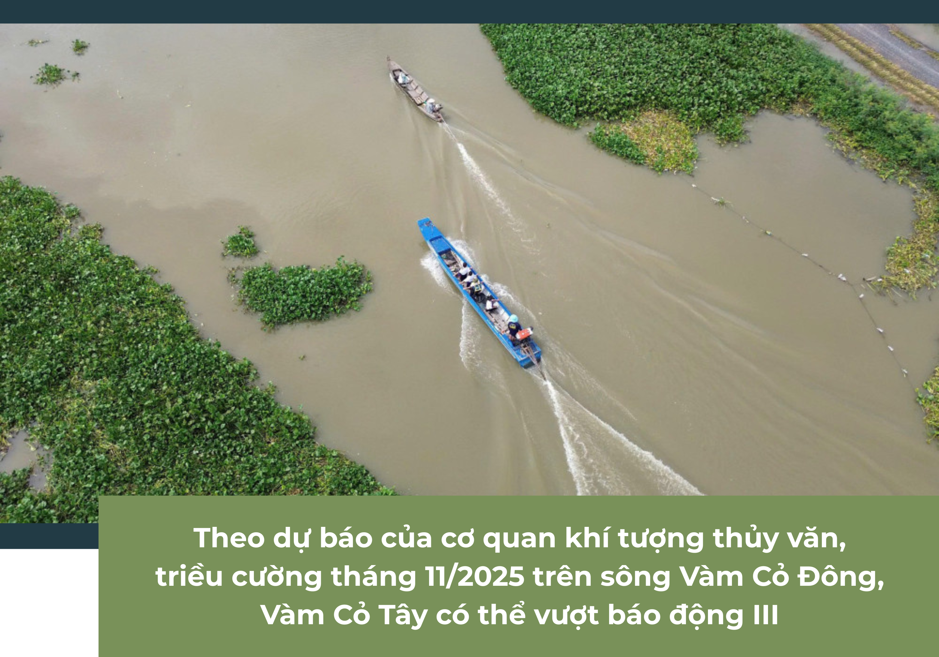 Ảnh tràn viền