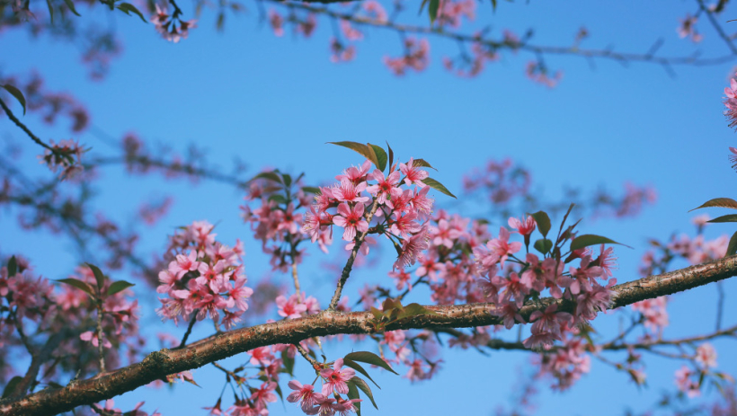 Thời tiết h&ocirc;m nay 30/12: Nam Bộ s&aacute;ng sớm m&aacute;t mẻ, ng&agrave;y nắng, ngo&agrave;i khơi Kh&aacute;nh H&ograve;a biển động