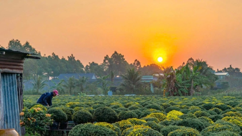 Nghề trồng hoa kiểng ở Sa Đ&eacute;c l&agrave; di sản văn h&oacute;a phi vật thể quốc gia