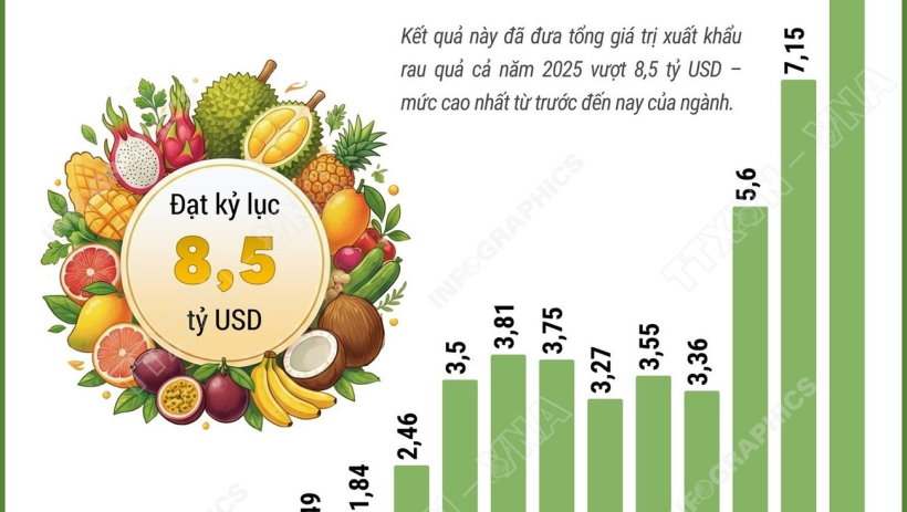 Xuất khẩu rau quả 'lội ngược d&ograve;ng' ấn tượng, đạt kỷ lục 8,5 tỷ USD năm 2025