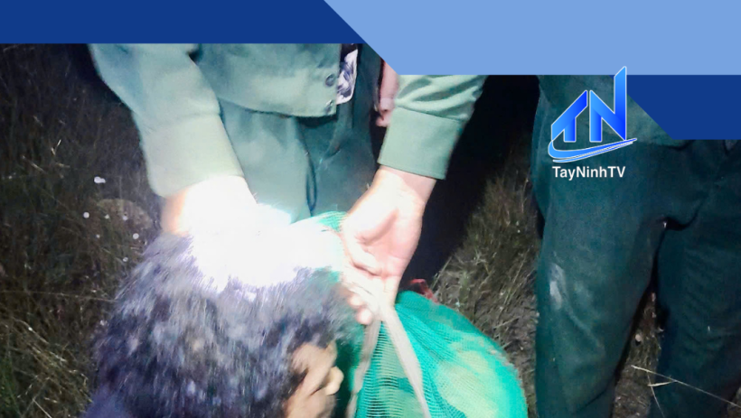 Bắt giữ đối tượng bẫy động vật rừng tr&aacute;i ph&eacute;p tại Vườn quốc gia L&ograve; G&ograve; &ndash; Xa M&aacute;t