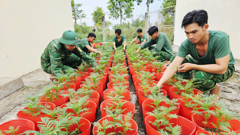 Sắc hoa đ&oacute;n xu&acirc;n nơi bi&ecirc;n giới