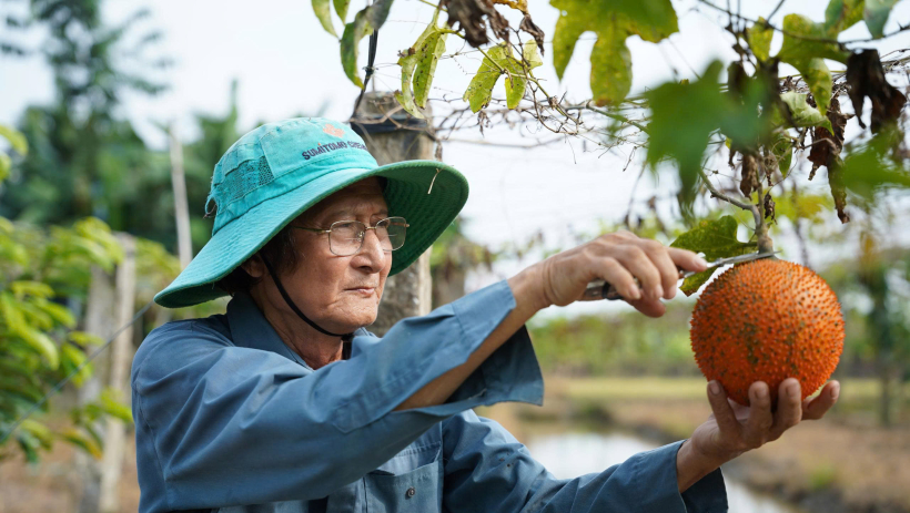 Kinh tế hợp t&aacute;c - 'đ&ograve;n bẩy' ph&aacute;t triển kinh tế n&ocirc;ng th&ocirc;n