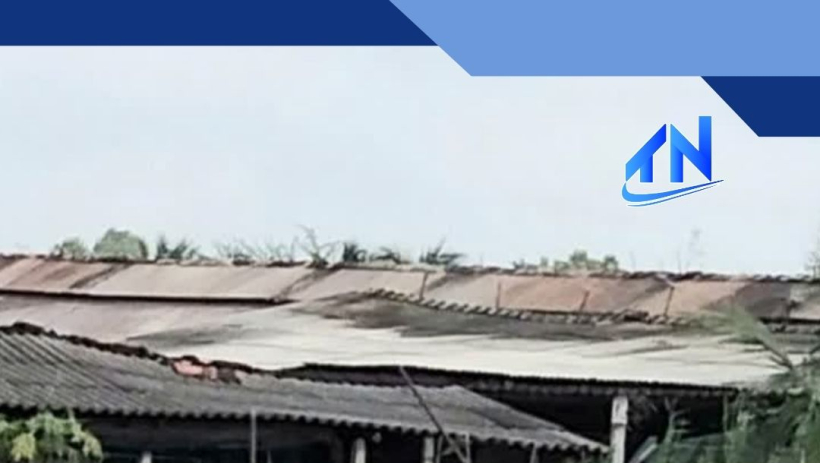 Trang trại g&agrave; Ba Hội sẽ chấm dứt hoạt động trước th&aacute;ng 5/2026