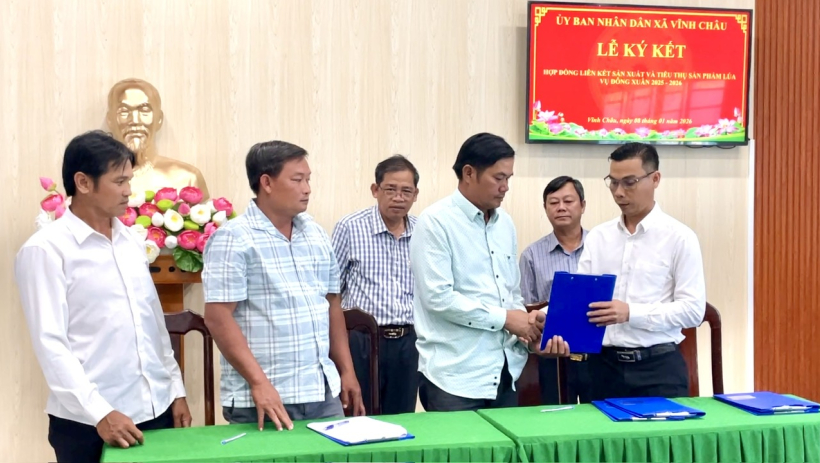 X&atilde; Vĩnh Ch&acirc;u k&yacute; kết hợp đồng li&ecirc;n kết sản xuất v&agrave; ti&ecirc;u thụ l&uacute;a vụ Đ&ocirc;ng Xu&acirc;n 2025-2026