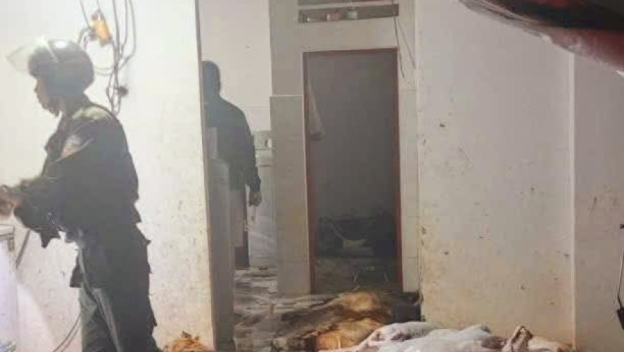 Triệt ph&aacute; đồng loạt 2 tụ điểm nghi trộm cắp, ti&ecirc;u thụ ch&oacute; quy m&ocirc; lớn