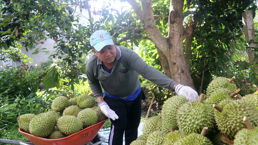 Đến hết năm 2026 sẽ triển khai th&iacute; điểm Hệ thống truy xuất nguồn gốc n&ocirc;ng sản