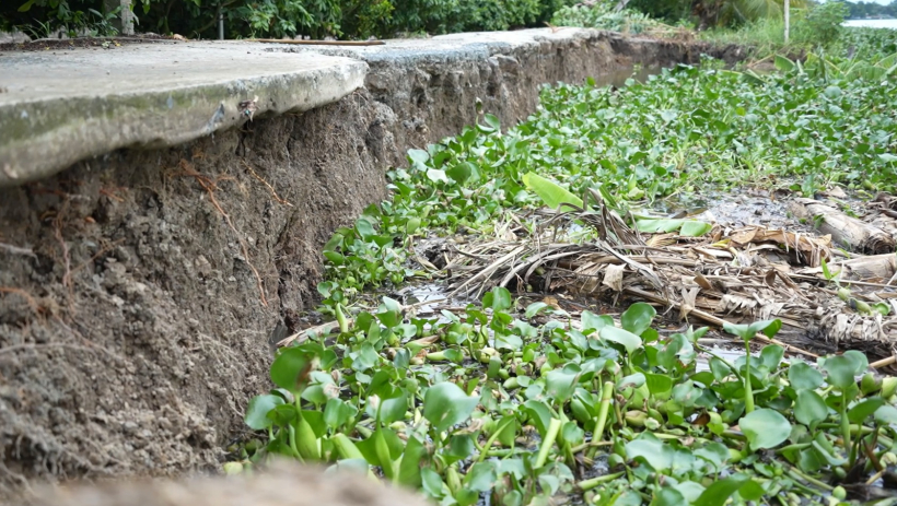 Năm 2025, T&acirc;y Ninh xảy ra 15 điểm sạt lở