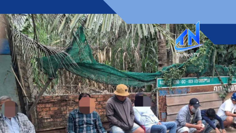 Bắt tụ điểm đ&aacute;nh bạc bằng h&igrave;nh thức đ&aacute; g&agrave; ở x&atilde; Bến Lức