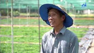 T&iacute;n dụng ch&iacute;nh s&aacute;ch - Tiếp sức ph&aacute;t triển m&ocirc; h&igrave;nh sinh kế 