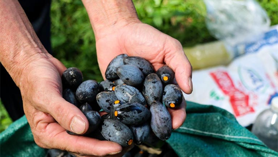 Thơm b&ugrave;i vị tr&aacute;m kho