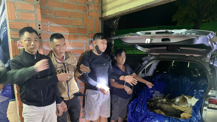 Hai căn nh&agrave; thu&ecirc; v&agrave; đường d&acirc;y trộm, ti&ecirc;u thụ ch&oacute; bị lật tẩy