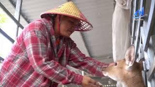 T&iacute;n dụng ch&iacute;nh s&aacute;ch đồng h&agrave;nh c&ugrave;ng m&ocirc; h&igrave;nh khởi nghiệp