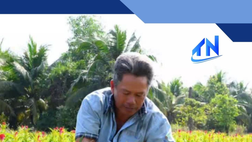 X&atilde; Lương H&ograve;a: Rộn r&agrave;ng m&ugrave;a hoa Tết