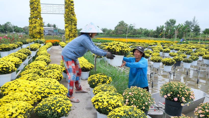 Thời tiết h&ocirc;m nay 17/01: Cả nước tăng nhiệt trước đợt r&eacute;t mới