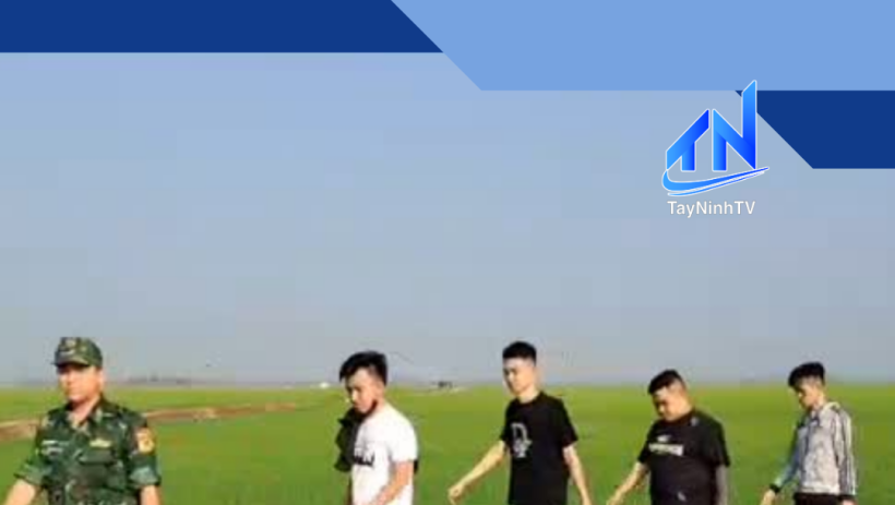 Đồn Bi&ecirc;n ph&ograve;ng Long Khốt phối hợp bắt giữ 16 đối tượng nhập cảnh tr&aacute;i ph&eacute;p