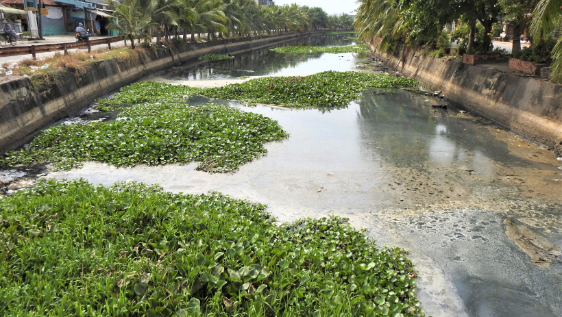 K&ecirc;nh chợ cũ Trảng B&agrave;ng sẽ sớm 'hồi sinh'