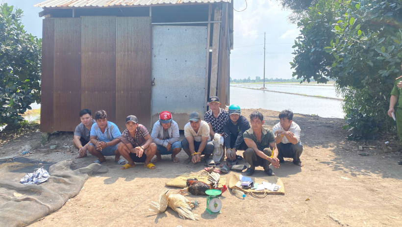 X&atilde; T&acirc;n Thạnh: Triệt ph&aacute; tụ điểm đ&aacute; g&agrave; ăn tiền, tạm giữ 10 đối tượng