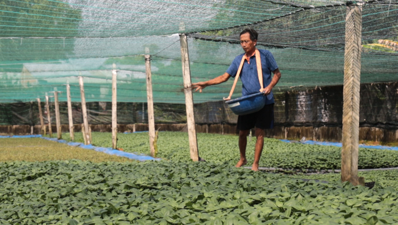 Tận dụng đất ở, tạo sinh kế bền vững