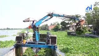 Lục b&igrave;nh d&agrave;y đặc tr&ecirc;n s&ocirc;ng V&agrave;m Cỏ Đ&ocirc;ng