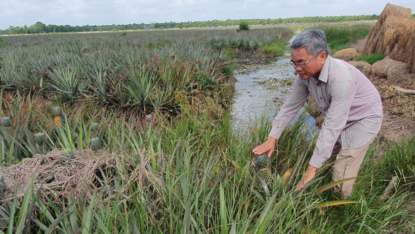 X&atilde; Phước Chỉ: Đổi mới tư duy l&agrave;m n&ocirc;ng nghiệp v&ugrave;ng bi&ecirc;n giới