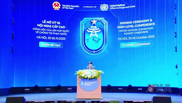 Việt Nam k&ecirc;u gọi c&aacute;c nước sớm k&yacute; v&agrave; ph&ecirc; chuẩn C&ocirc;ng ước H&agrave; Nội