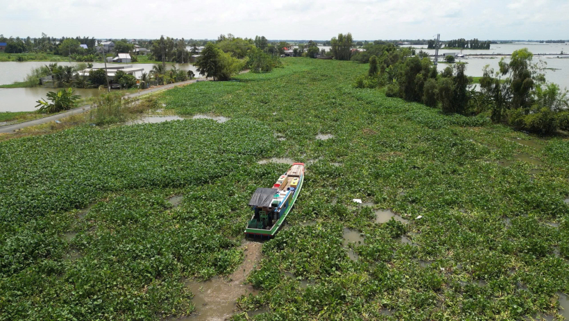Lục b&igrave;nh - vấn nạn hay t&agrave;i nguy&ecirc;n chưa được khai th&aacute;c? (B&agrave;i 1)