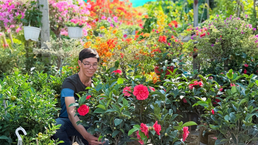 Hoa kiểng 'chờ' thị trường