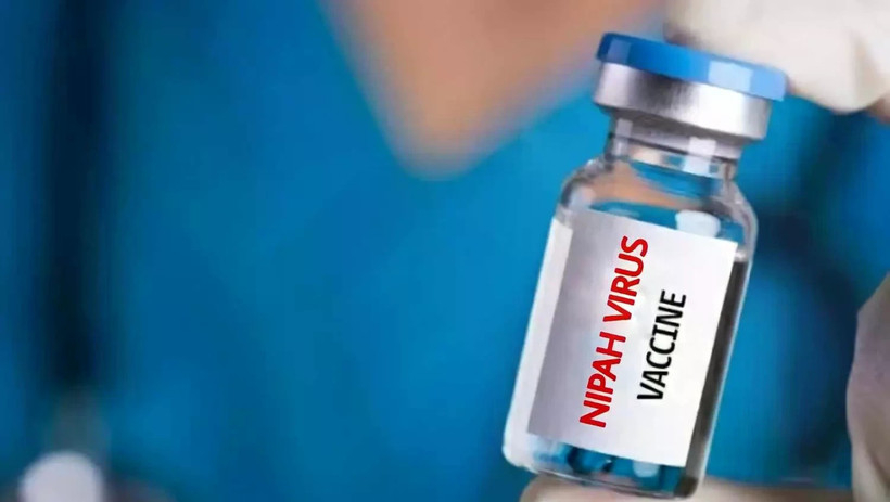 Nhật Bản thử nghiệm l&acirc;m s&agrave;ng vaccine ngừa virus Nipah