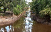 X&acirc;m nhập mặn gia tăng ở miền T&acirc;y đầu th&aacute;ng 2 v&agrave; Tết Nguy&ecirc;n đ&aacute;n