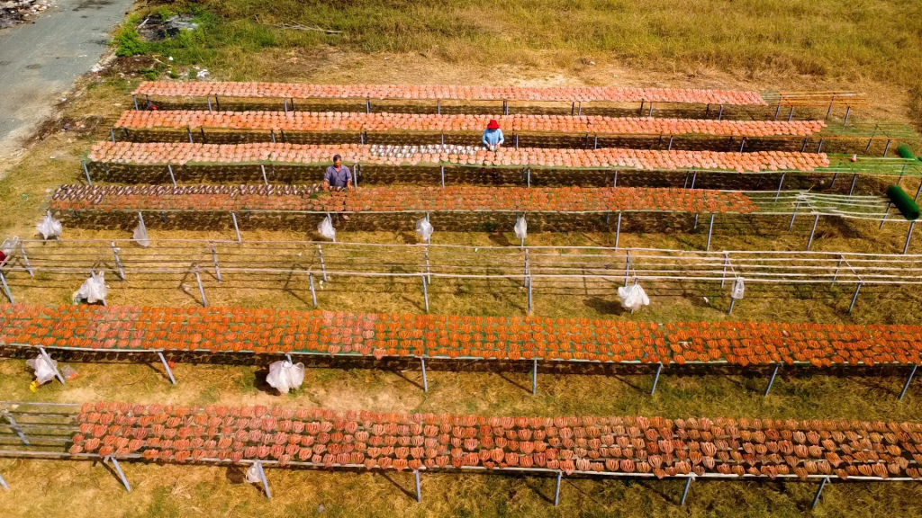 Các cơ sở sản xuất, kinh doanh chuẩn bị khô cá phục vụ thị trường tết