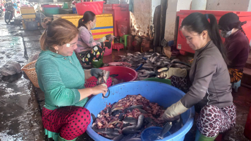 Không khí sản xuất, buôn bán các loại khô cá bắt đầu sôi động, sản lượng khô thành phẩm mỗi ngày ở đây tăng hơn gấp nhiều lần so với ngày thường.